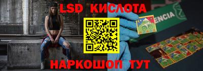 индика Вышний Волочёк