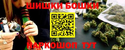 индика Вышний Волочёк