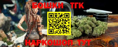 индика Вышний Волочёк