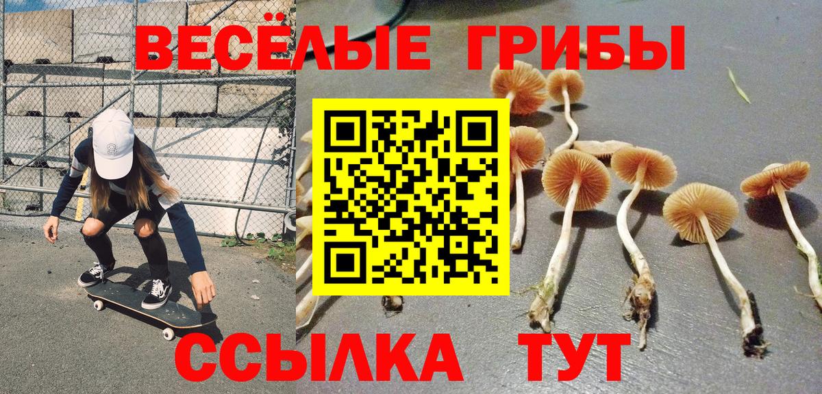 Галлюциногенные грибы MAGIC MUSHROOMS Верхняя Салда