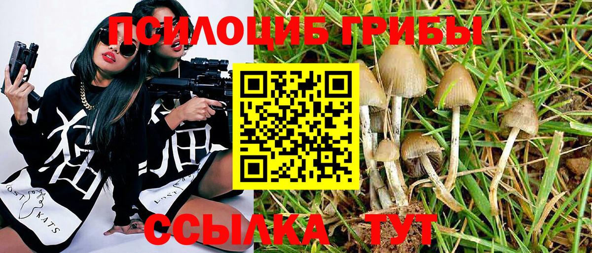 Верхняя Салда  Псилоцибиновые грибы прущие грибы  Псилоцибиновые грибы ЛСД  Вход с VPN 